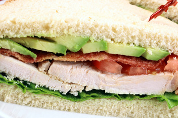 sandwich  with oven roasted turkey