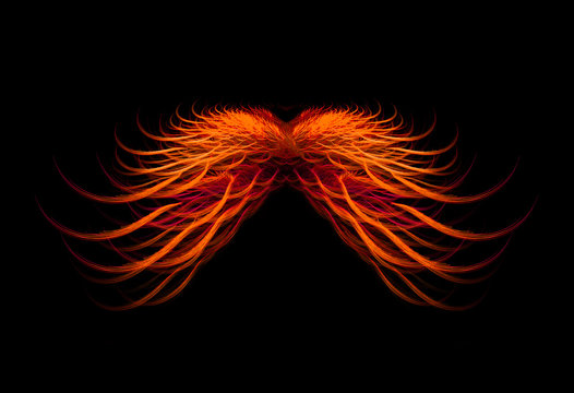 Orange wings
