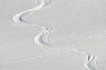 Skispur im Pulverschnee