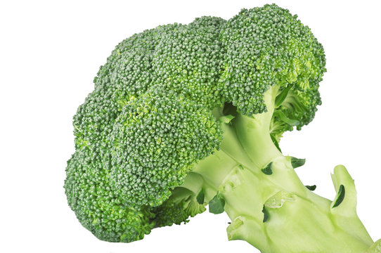 Broccoletti 2 11 09