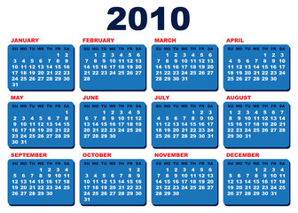 Vector 2010 calendar template