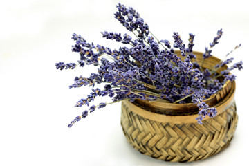 Naklejka premium lavender
