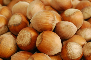 Noisettes