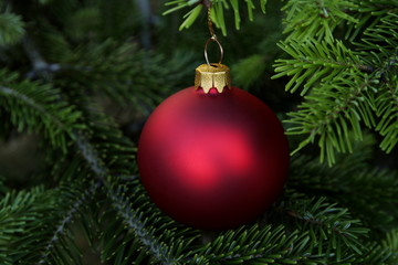 Obraz na płótnie Canvas Christmas, tree and red glass ball