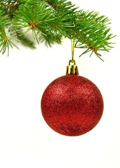 Red christmas ball hangs from pine branch.