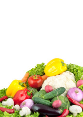 Assorted fresh vegetables