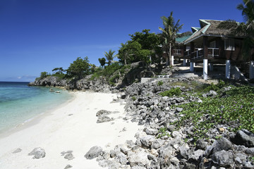 malapascua beach resort