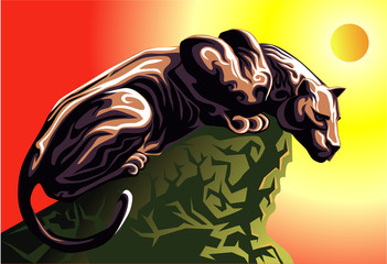 Pantera © Giingerann