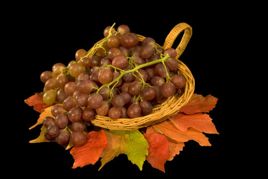 Composizione con cesto, foglie, e uva nera