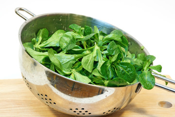 Feldsalat im Küchensieb