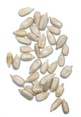 Sunflower seed isolated on white