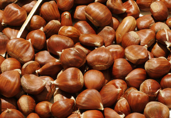 insieme di castagne