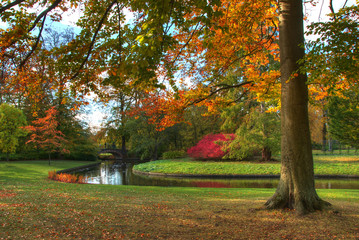 Autumn in the park