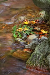 Color of stream in autumn