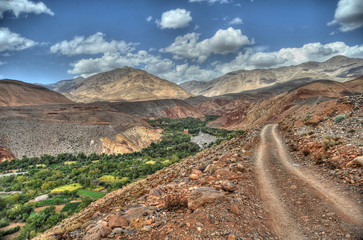 Maroc oasis