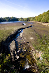 view around a lake in brittany