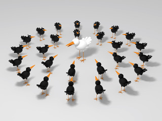 White and black birds
