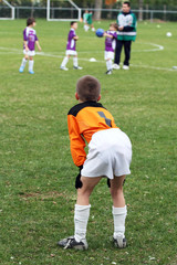 Fototapeta premium goal