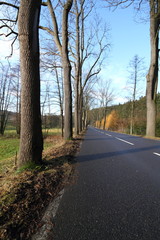 Fototapeta premium Landstraße bei tief stehender Sonne