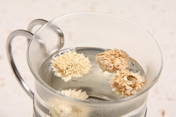 infusion camomille