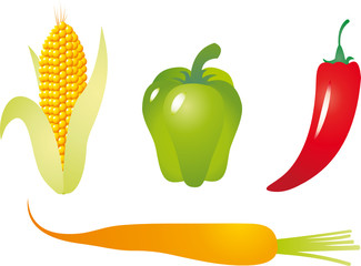 Vegetables vector