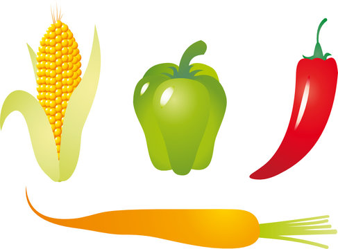 Vegetables vector