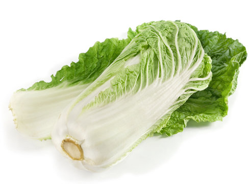 Cabbage chinese