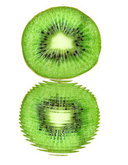 Kiwi with water reflection