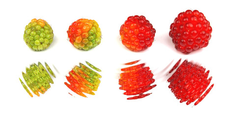 Raspberry with water reflection