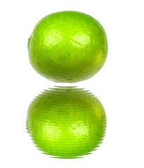 Lime with water reflection