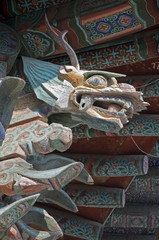 Obraz premium Dragon,South Korea