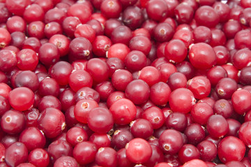 Red cranberries