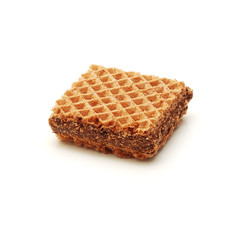 wafer