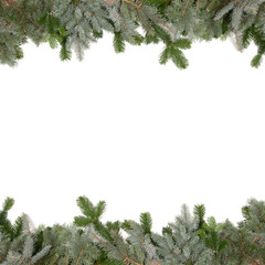 green fir twig frame with christmas balls