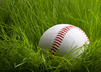 baseball over young grass background