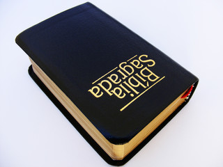 Biblia SagradaB