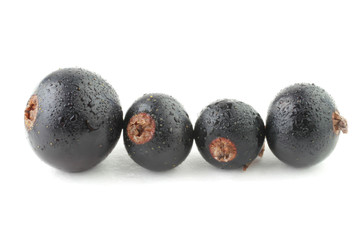 Blackberry
