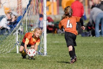 Obraz premium Goalie Save