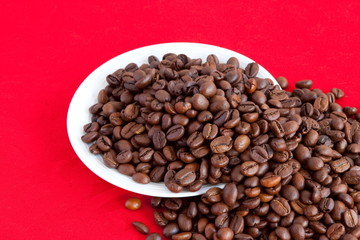 Coffee beans in white plate
