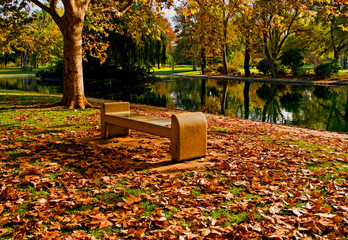 Autumn in the park