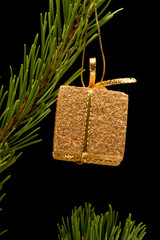 Golden gift box on pine branch