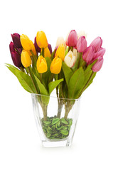 Pot with tuplis isolated on white