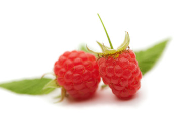 Raspberries