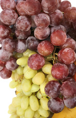 Grapes