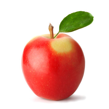 Fresh red apple