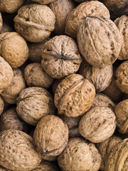 Walnüsse