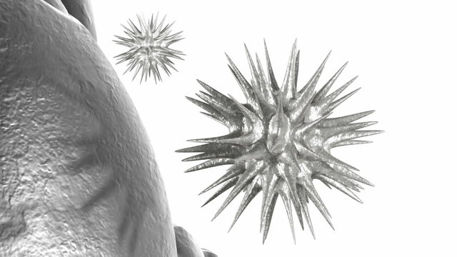 Virus Animation Loop