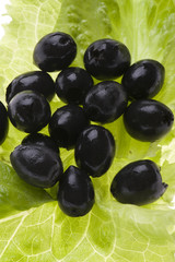 olive and salad