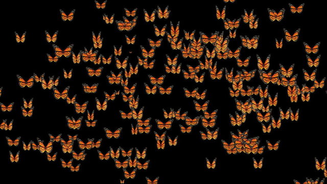 Butterflies forming earth map,alpha channel