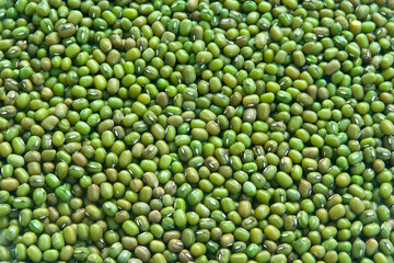beans mung